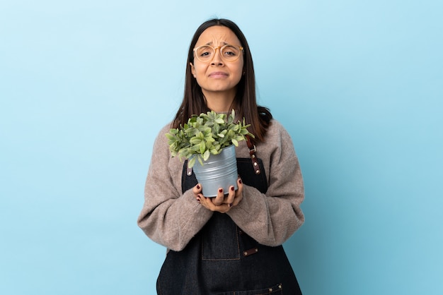 Young brunette mixed race woman holding a plant over isolated blue wall laughing