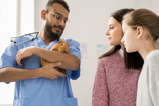 若いブルネットの女性と彼女の娘が診療所で彼を訪問しながら獣医の臨床医の手で彼らのペットを見て