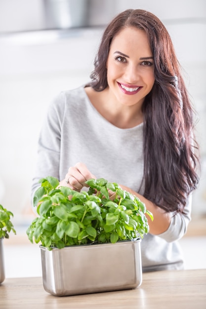 Young brunette woman holding and smelling lovely green basil in her kitchen.