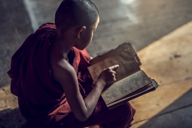 Young Buddhist novice monk reading and study in monastery, Myanmar