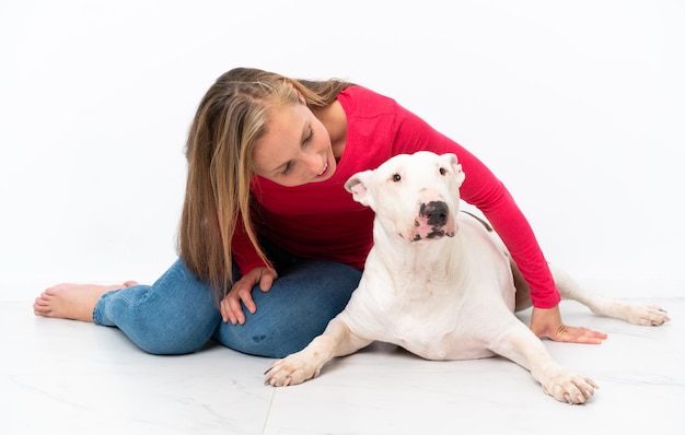 孤立した背景上の若いブルテリア犬