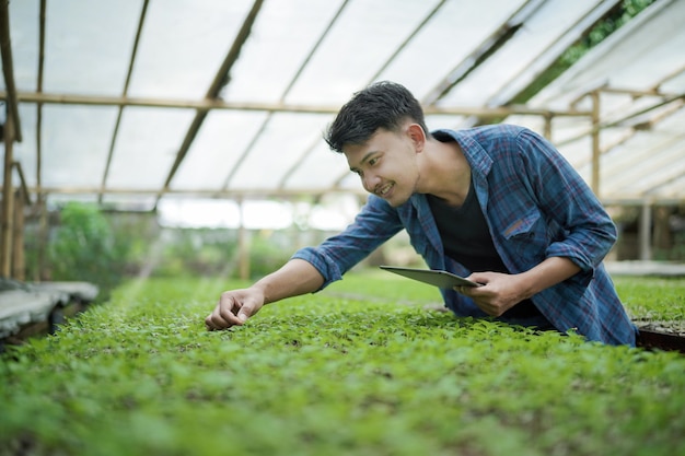 Giovane uomo d'affari che utilizza un tablet che controlla il concetto di foto di agricoltura digitale della fattoria