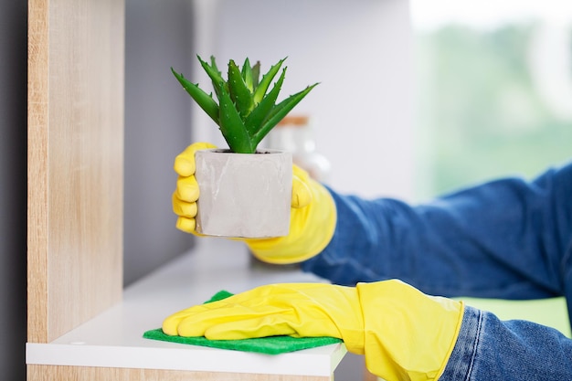 Young business woman sprays plants in flowerpots.