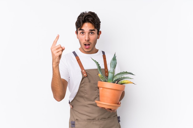 Young caucasian gardener man holding a plant isolated having an idea, inspiration concept.