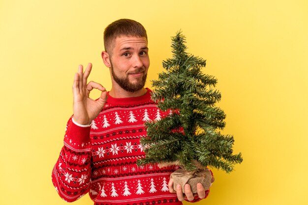 黄色の背景に分離されたクリスマスのために小さな木を購入する若い白人男性は、陽気で自信を持って大丈夫なジェスチャーを示しています。