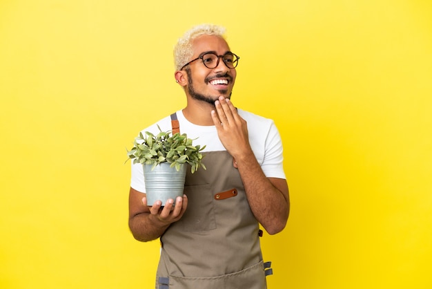 Молодой колумбийский мужчина держит растение, изолированное на желтом фоне, глядя вверх, улыбаясь