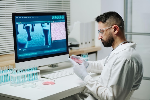 Young contemporary scientist or virologist looking at substance in petri dish