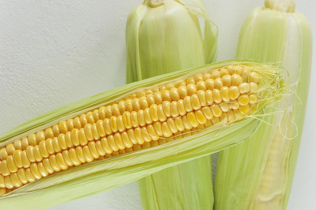 Young corn cob on white  