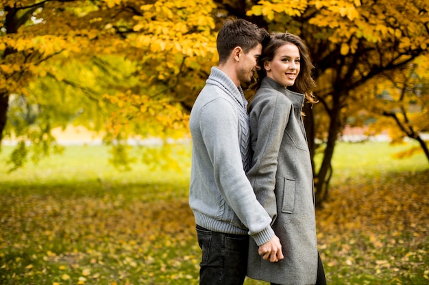 Young couple in the autumn park