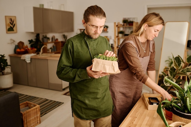 Photo young couple growing wheat germs at home