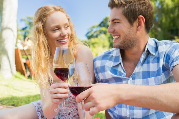 Young couple on a picnic drinking wine