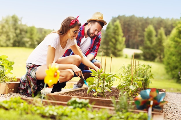 young couple planting organic vegetables and herbs