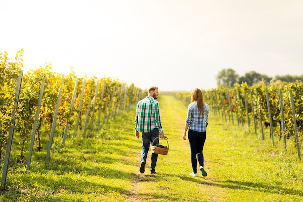 Young couple in vineyard