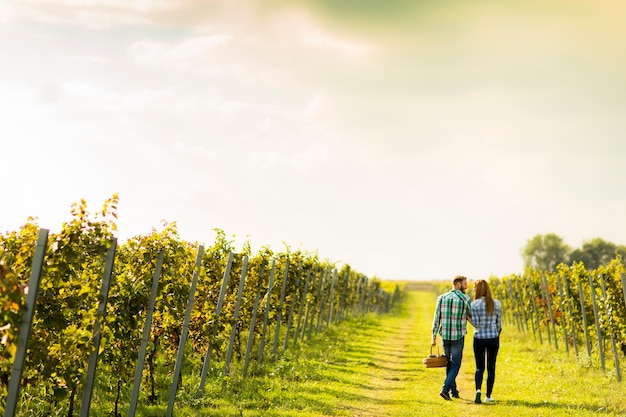 Young couple in vineyard