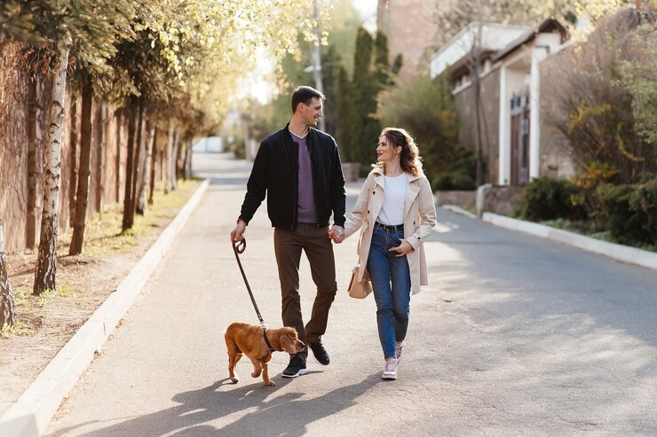 街の通りで犬と一緒に階段を歩いている若いカップル