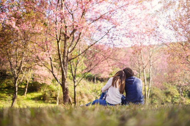 若いカップル、公園で歩いて、桜の木を見て