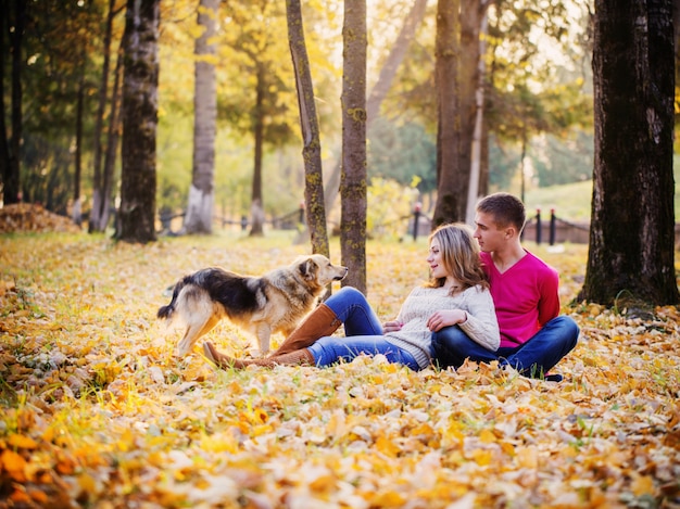 秋の公園で犬と若いカップル