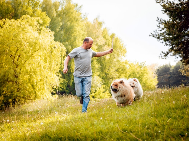 young couple with the dogs in the park