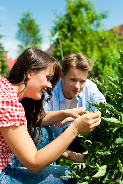 Young couple working in the garden