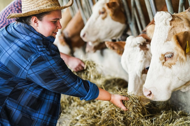 Young curvy farmer woman working inside cowshed Focus on girl hat