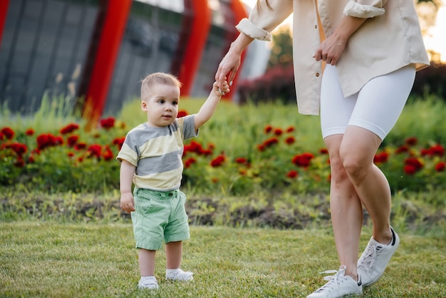 A young cute mother helps and teaches her little son to take\
his first steps during sunset in the park on the grass.