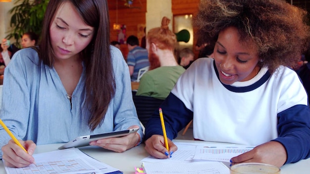 Photo young diverse females studying together in modern cafe