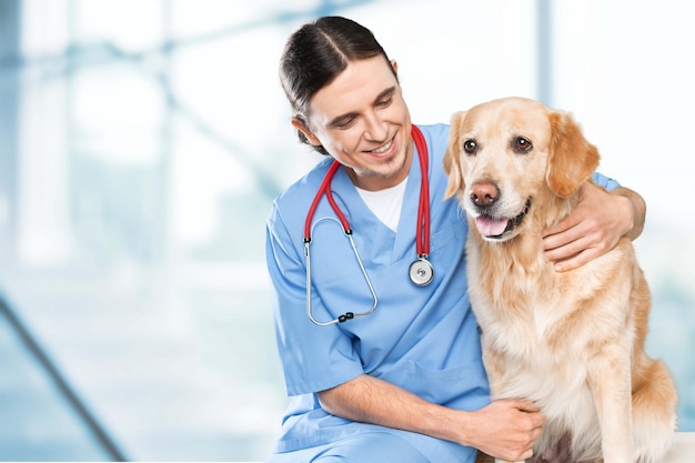 Young doctor man with cute dog in clinic