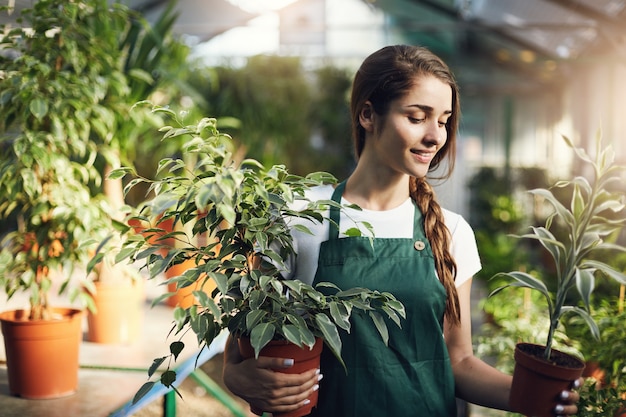 鉢植えの植物を持って温室店を経営している若い起業家の庭師。