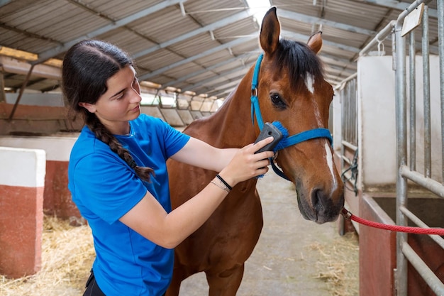 Young ethnic woman brushing horse in barn