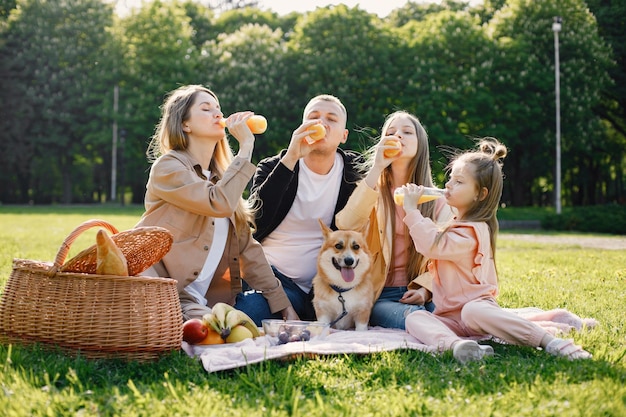 공원에서 피크닉을 하는 젊은 가족과 그들의 코기 개