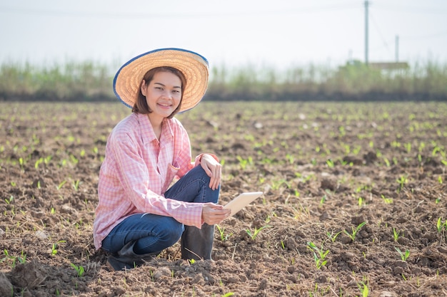 Young farmer asian woman sitting and holding smart tablet in a corn field. Technology farm Concept image.