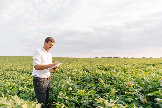 Young farmer in filed examining soybean corp. He is thumbs up.