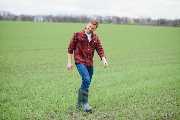 A young farmer inspects the quality of wheat sprouts in the field The concept of agriculture