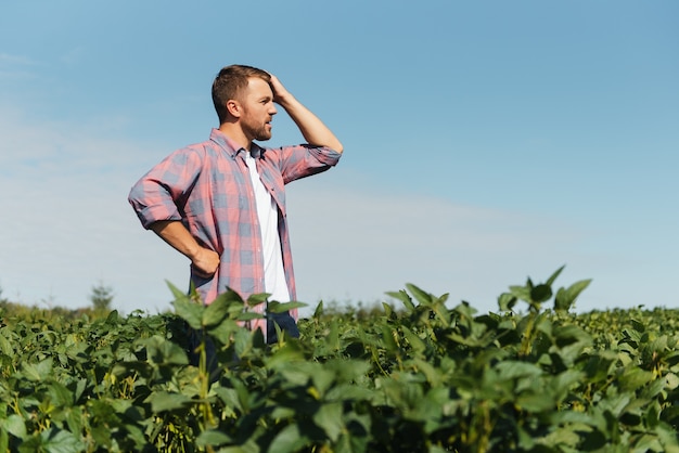 Young farmer in soybean fields