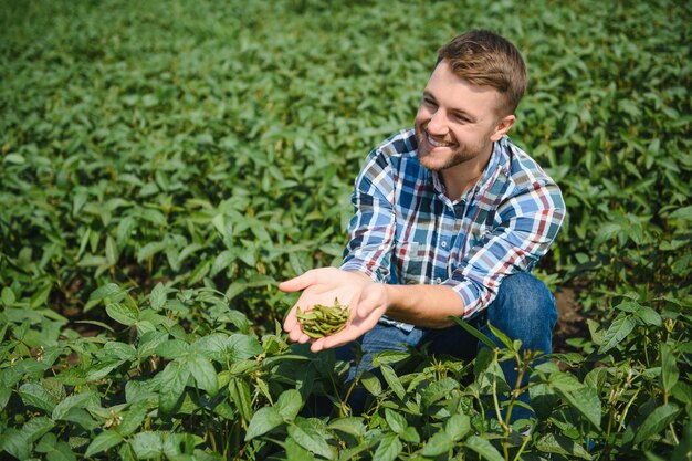 Young farmer in soybean fields