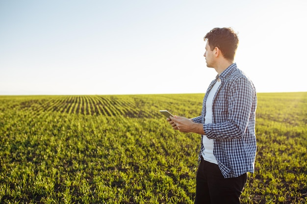 사진 젊은 농부는 봄에 푸른 밀밭 한가운데에 서 있습니다. 태블릿을 손에 들고 있는 농업 경제학자는 새로운 씨뿌리기의 진행 상황을 확인합니다.
