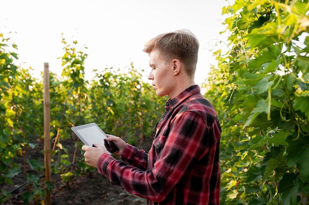 young farmer with tablet on vineyards