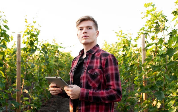 ブドウ園でタブレットを持つ若い農夫