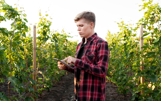 young farmer with tablet on vineyards