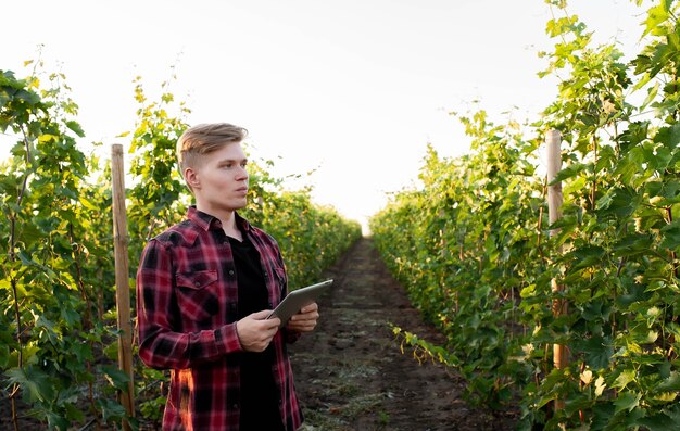 young farmer with tablet on vineyards