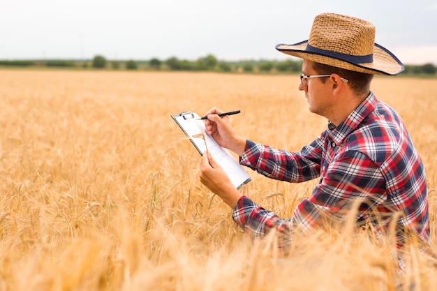 Young Farmer writing on a document the wheat development plan. Farmer checking wheat field