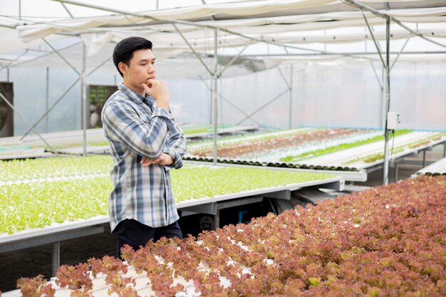 若い農家は、良質の有機野菜農場管理部門のアイデアを持っていました。高品質の有機野菜農場における注目の概念。