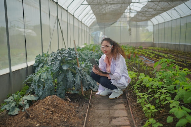 온실에서 모니터링 야채 식물을 들고 젊은 여성 농업 경제학자