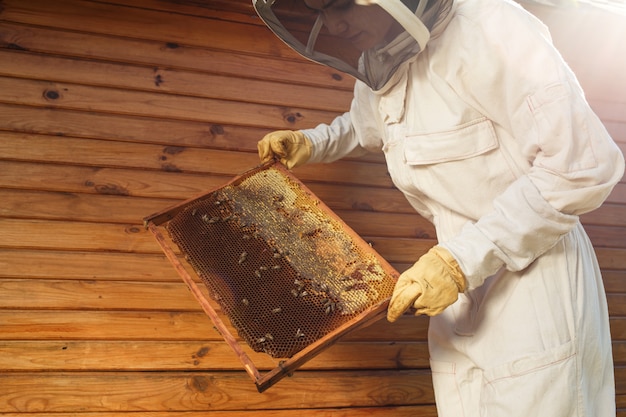 Young female beekeeper hold wooden frame with honeycomb, Collect honey, Beekeeping concept,