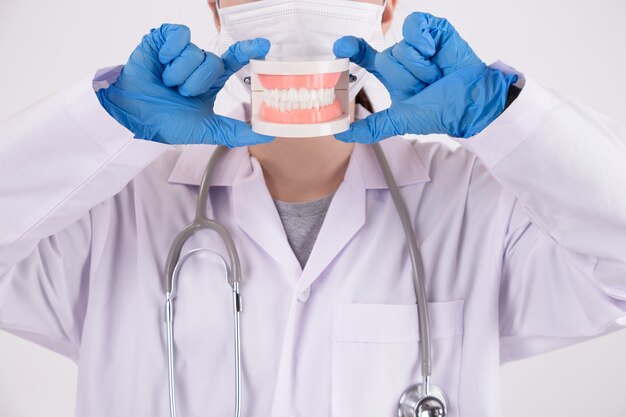 Giovane dentista femminile che pulisce il modello dentale del dente. prenditi cura di denti sani.