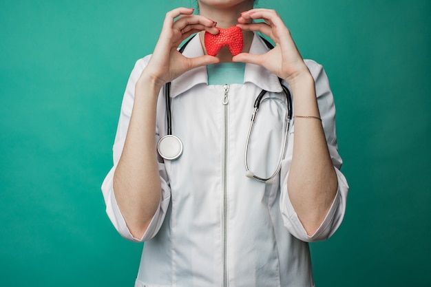 A young female doctor holds a model of a person's thyroid in her hands. The concept of protection and treatment