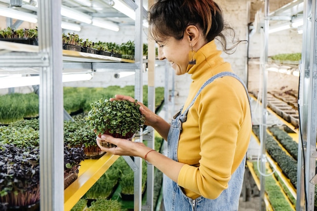 屋内垂直庭園でマイクログリーンを栽培する若い女性農家植物の世話をする女性