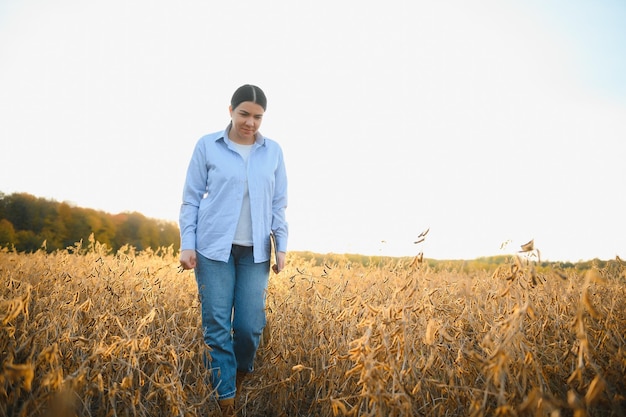 A young female farmer is working in a soybean field at sunset