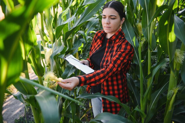 현장에서 일하고 식물 농업과 건강한 생활 개념을 확인하는 젊은 여성 농부