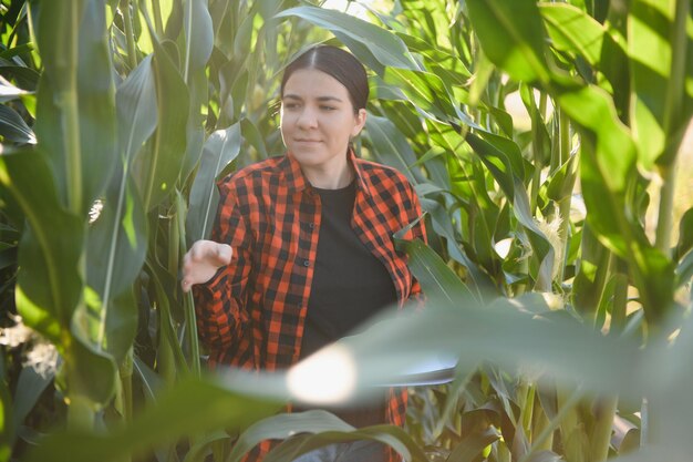 Young female farmer working in the field and checking plants agriculture and healthy living concept